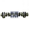MAN 51021010608 Crankshaft